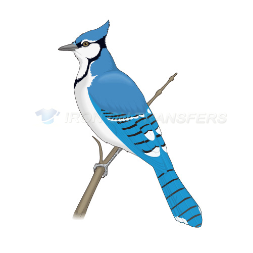 Birds Iron-on Stickers (Heat Transfers)NO.2193